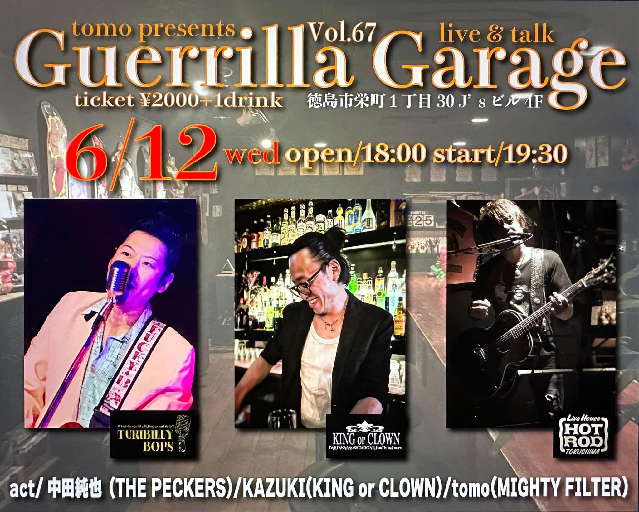 Guerrilla Garage Vol.67